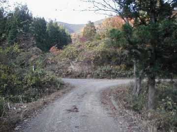 旗宿金山林道