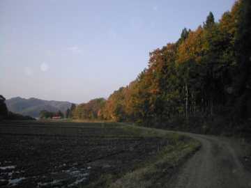旗宿金山林道