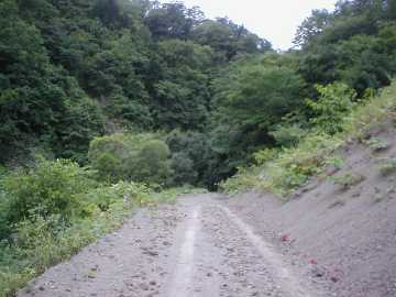 厚真川林道