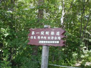 烏柵舞林道