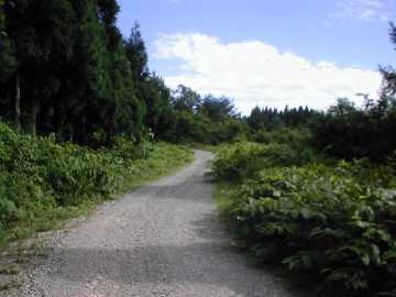 萱峠林道