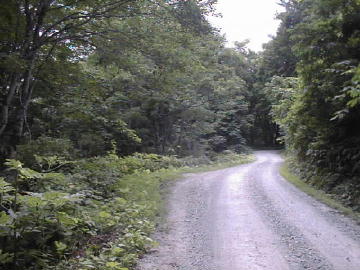国道458(十部一峠)