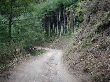 丸山林道