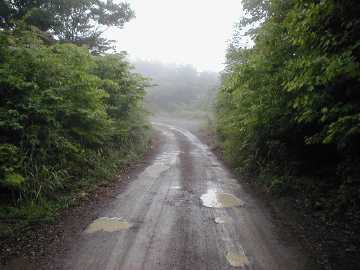 護摩檀山今西林道
