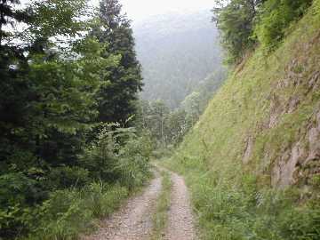向山黒滝林道