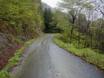大向長者原林道