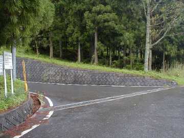 大向長者原林道