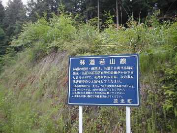若山林道