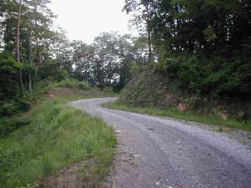 若山林道