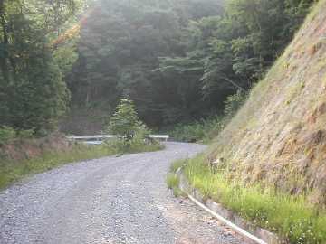 若山林道