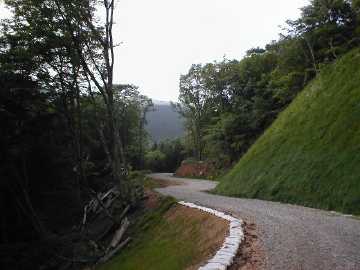若山林道