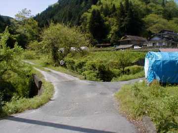 釜谷林道