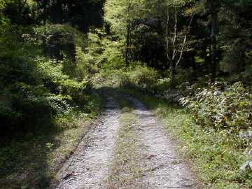 釜谷林道