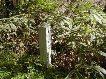 釜谷林道