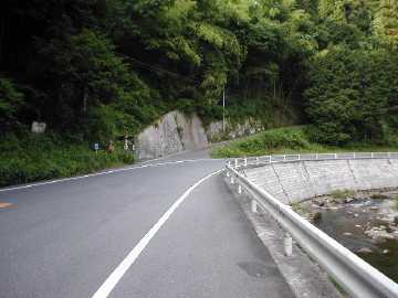 大松林道