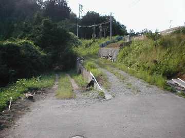 大松林道