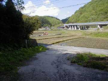 三信林道