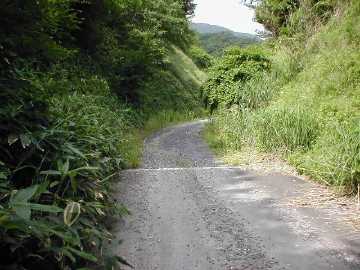 原山林道