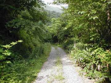 原山林道