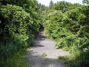 原山林道