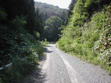 黒坊林道
