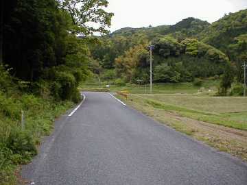 荒ヶ峠林道
