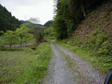 荒ヶ峠林道