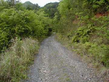荒ヶ峠林道