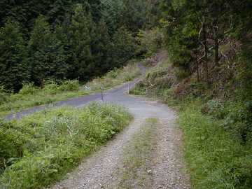 荒ヶ峠林道