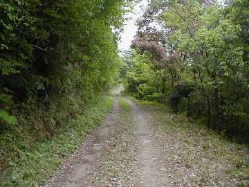 長門峡線