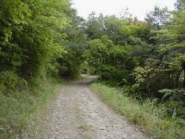 長門峡線