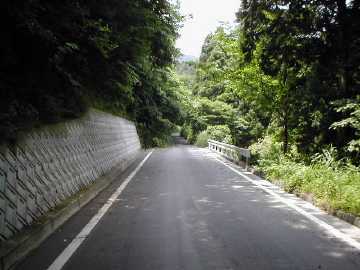 貫山林道