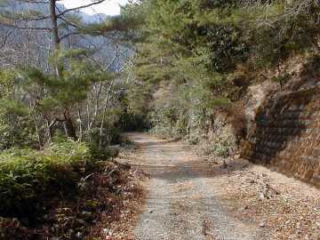 桧山林道