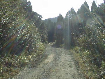 荒西林道