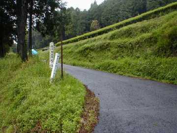 母ヶ岳林道