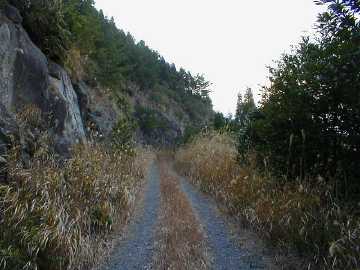 岩屋林道・二股林道
