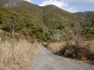 大中尾林道