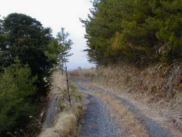 大野原林道
