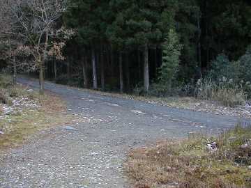 権現谷ヤン谷林道