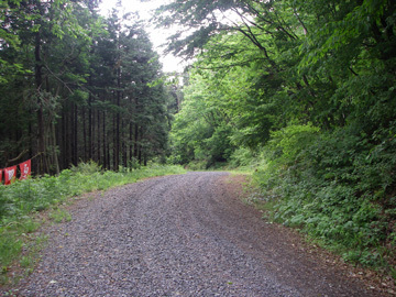 旗宿金山林道
