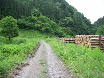 真名畑八溝林道