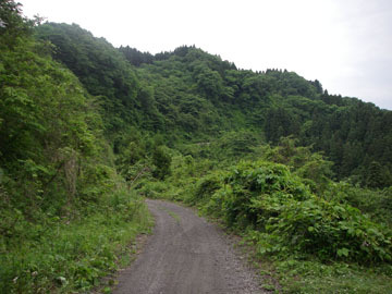 板庭入宝林道
