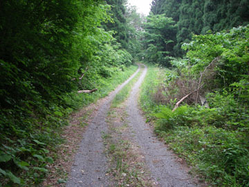 行司沢林道