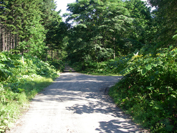 佐幌循環林道