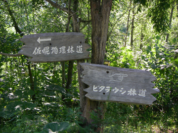 佐幌循環林道