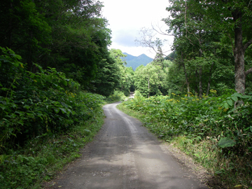 ヌプントムラウシ林道（沼の原温泉）