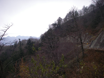田代山林道
