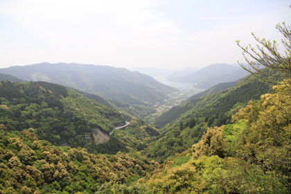 木立畑の浦峠林道