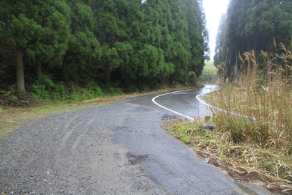 三方山林道