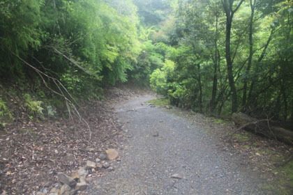 湯前飯盛林道